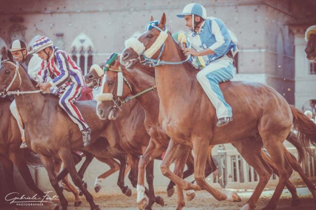 GentediPalio Palio di Siena Assunta 6 27 1024x682 1