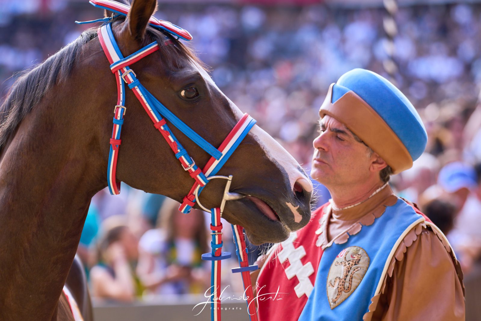 FOR07324 Forti Gabriele