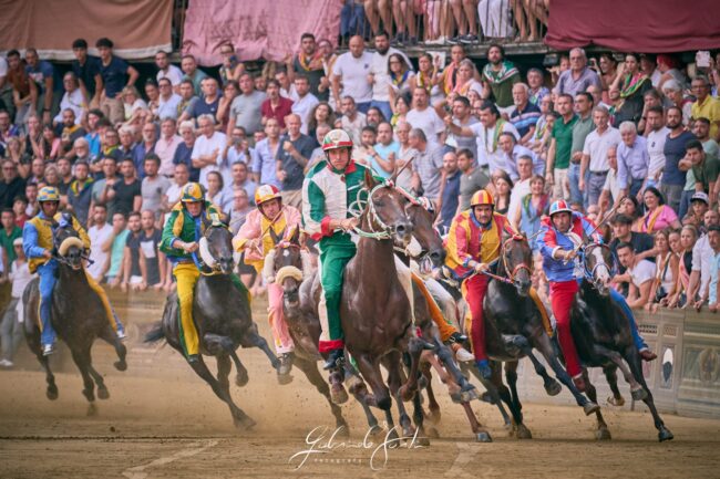 FOR07716 Forti Gabriele