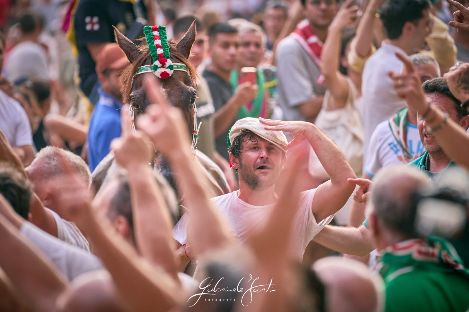 FOR08719 Forti Gabriele