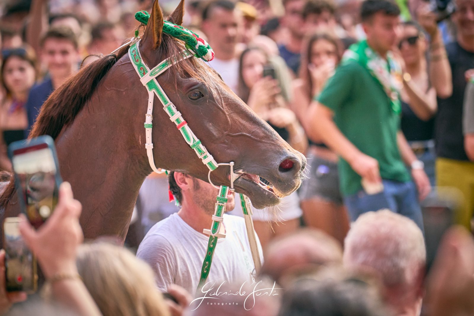 FOR08808 Forti Gabriele