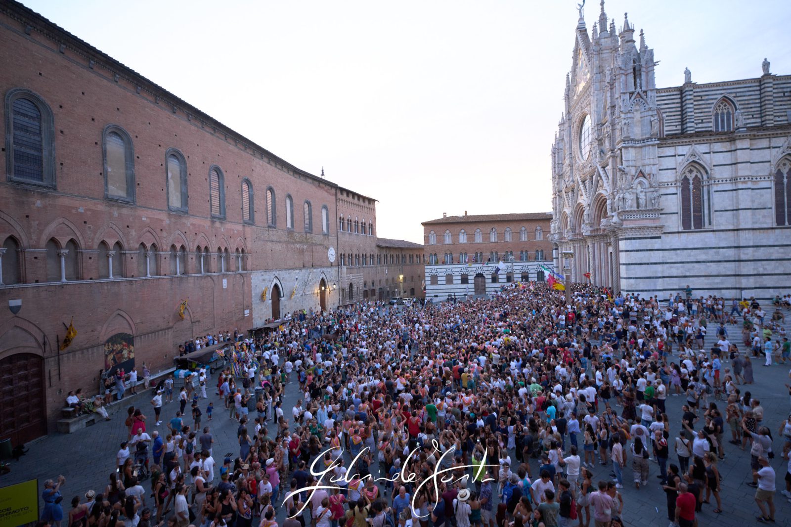 FOR00857 Forti Gabriele