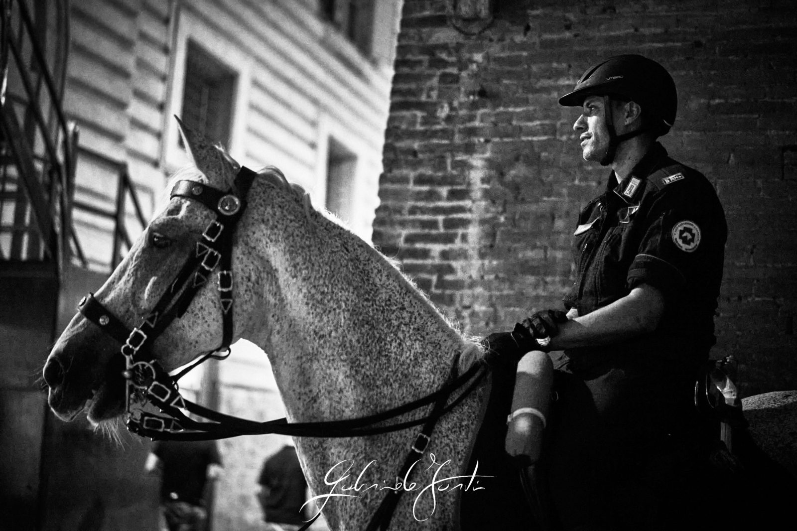 FOR01364 Forti Gabriele