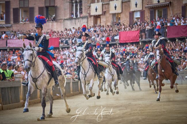 FOR06350 Forti Gabriele