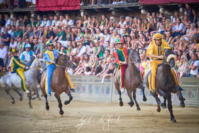 FOR06453 Forti Gabriele