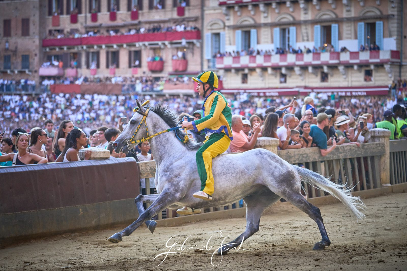 FOR06758 Forti Gabriele