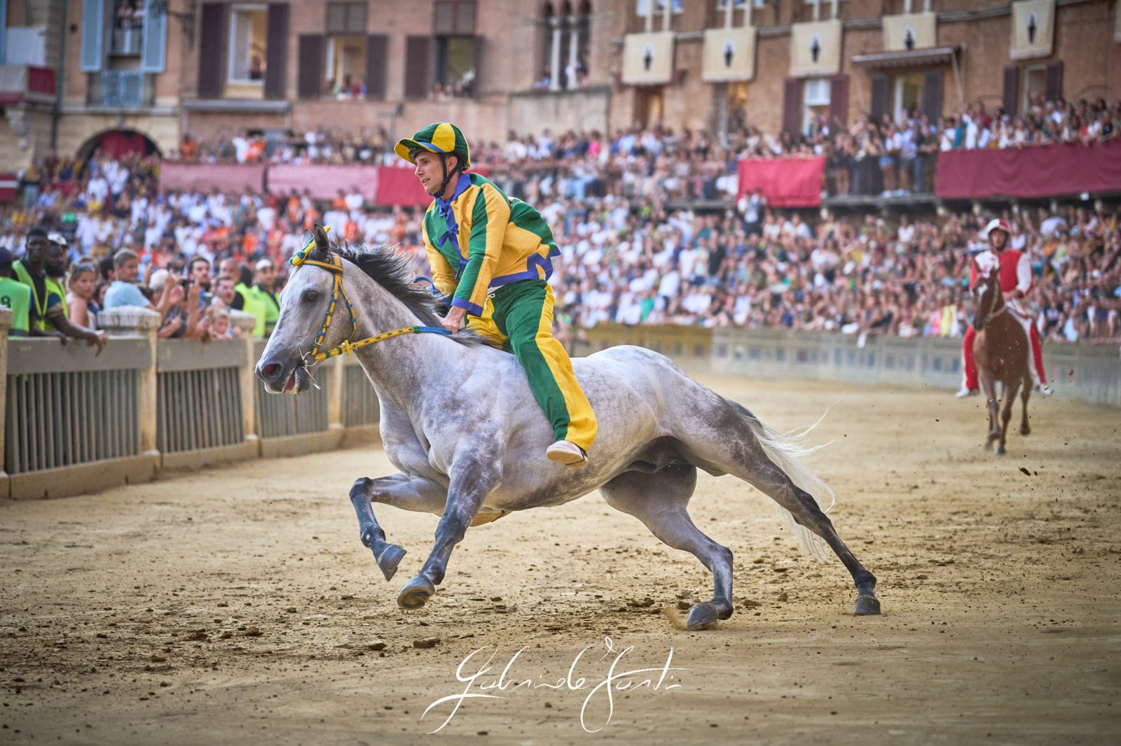 FOR06948 Forti Gabriele