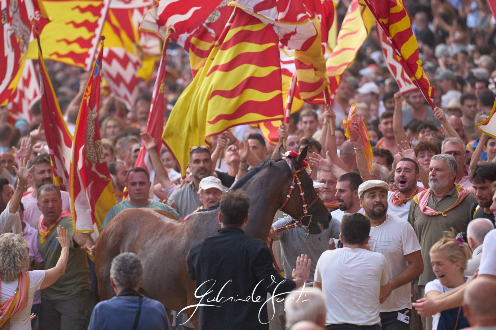 FOR09894 Forti Gabriele