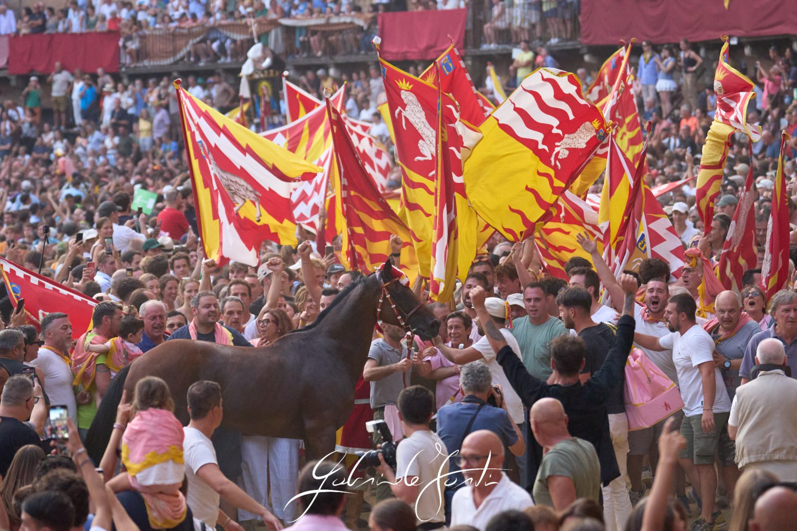 FOR09915 Forti Gabriele
