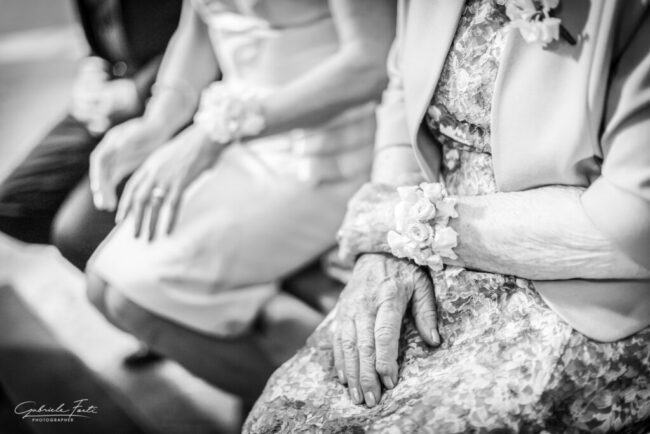 3077 edel derek 1024x683