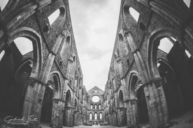 968 julia wiliam 1024x683